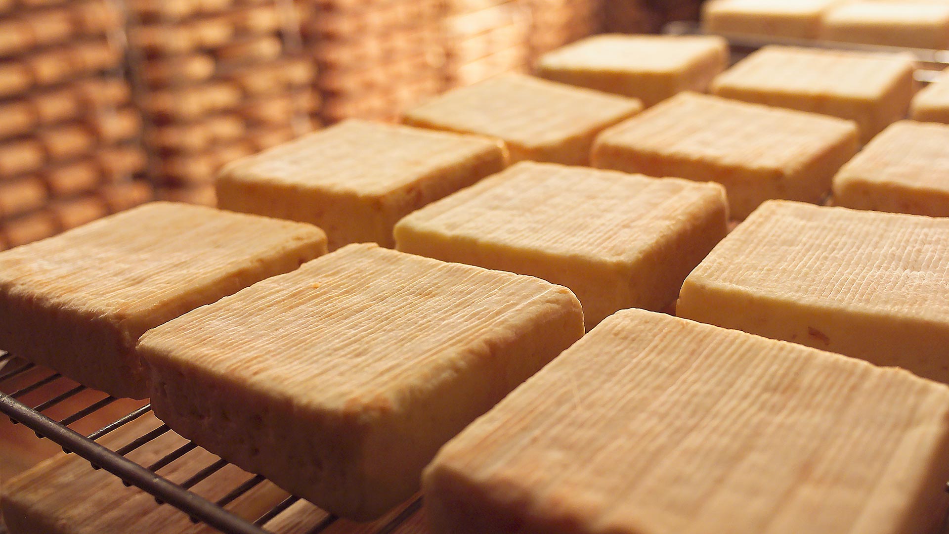 Caves d'affinage Maroilles LEDUC