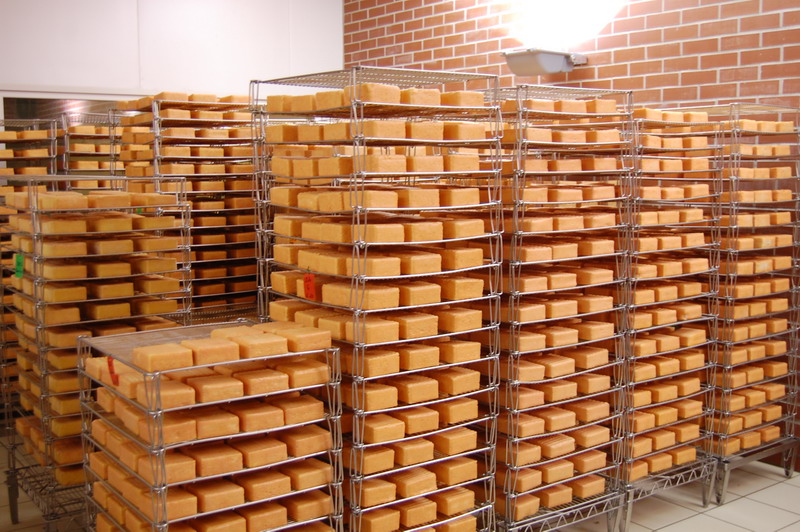 Caves d'affinage Maroilles LEDUC